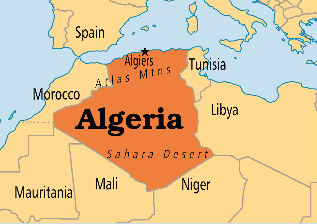 Президентські вибори в Алжирі відбудуться з жорсткими обмеженнями для закордонних журналістів