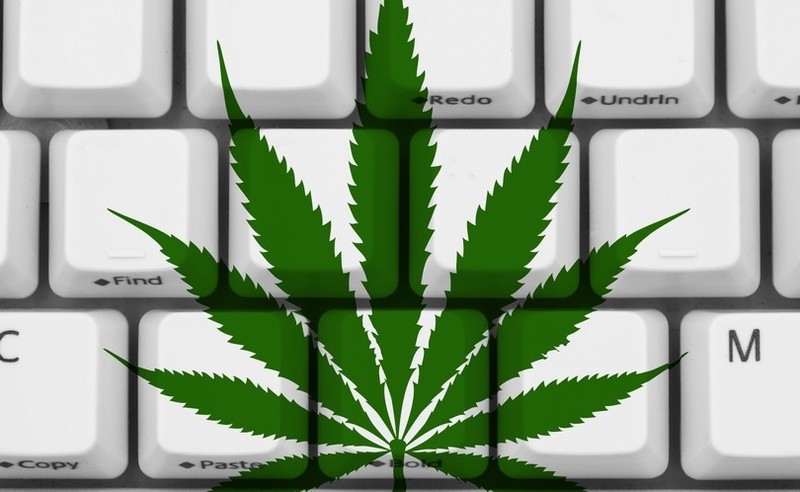 Microsoft створюватиме програмне забезпечення для контролю за реалізацією марихуани