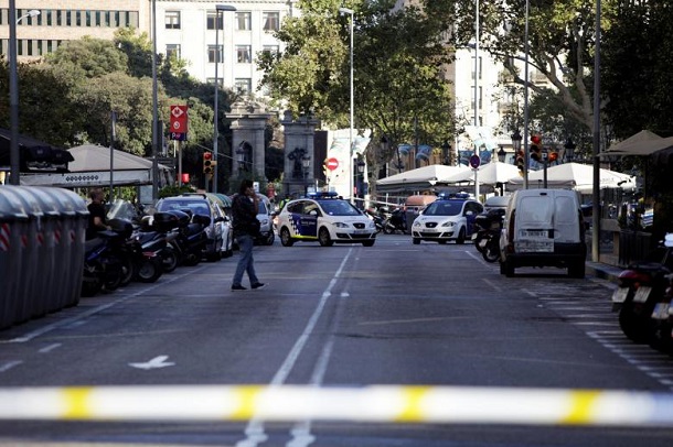 Після теракту в Барселоні користувачі почали масово викладати фото котів у Twitter