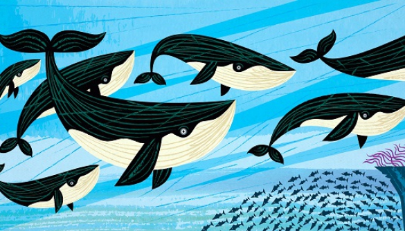 Дружба «акул» та «китів»: як ГО співпрацювати зі ЗМІ