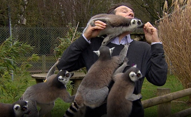 Журналіст BBC намагався зняти стендап в зоопарку з лемурами (спойлер: усе пішло не так)