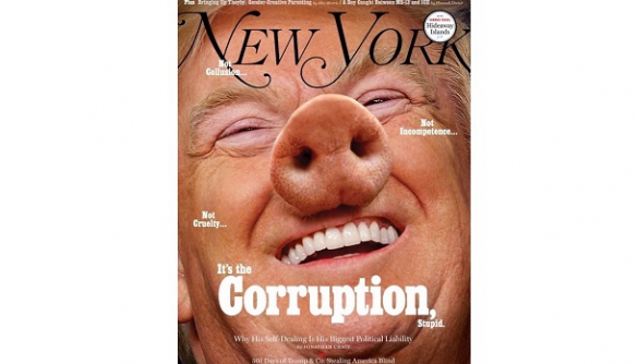 New York Magazine помістив на обкладинку Трампа зі свинячим рилом
