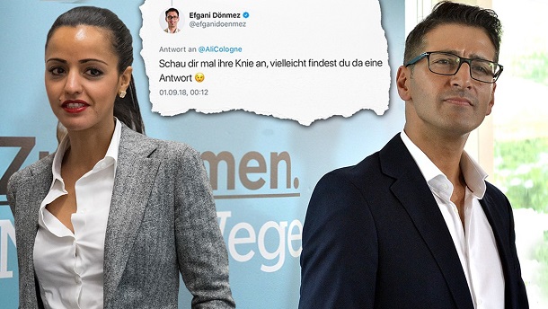 Депутата виключили з правлячої партії Австрії через сексизм у твіті
