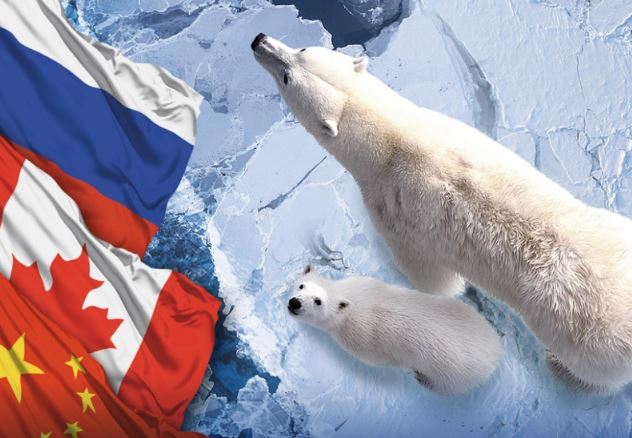 Після окупації Криму Росія змінила риторику щодо Арктики — дослідження НАТО
