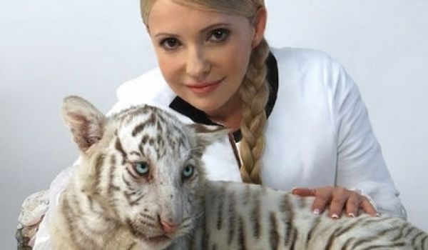 Прямий канал повідомив про смерть тигриці Тимошенко. Зоопарк спростовує