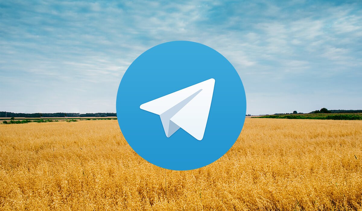 Як живе український Telegram: факти про користувачів та їхні канали