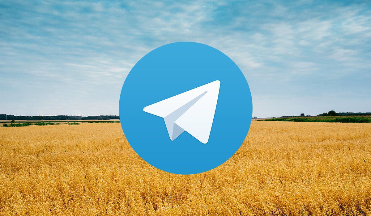 Як живе український Telegram: факти про користувачів та їхні канали