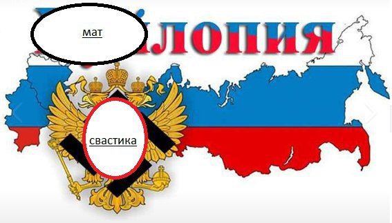 Росія вимагає від «Фейсбука» видалити картинку зі свастикою на гербі РФ