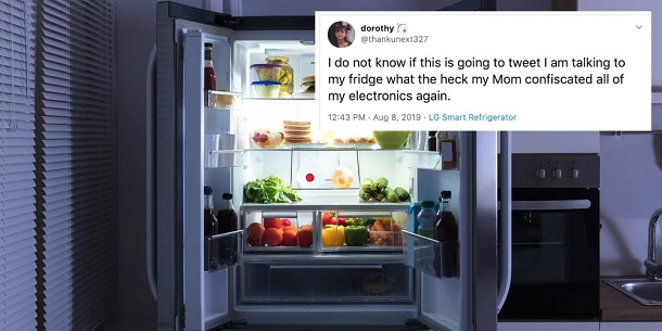 Твіти «Дороті» з холодильника: що не так з цією новиною