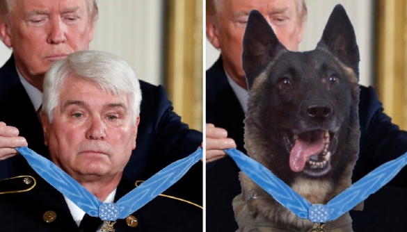 Трамп опублікував фейкове фото нагородження собаки, який допоміг знищити лідера ІДІЛ