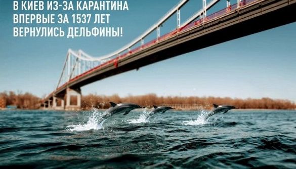 Кубань «повернулася» до складу України: кращі меми про оновлення природи під час карантину