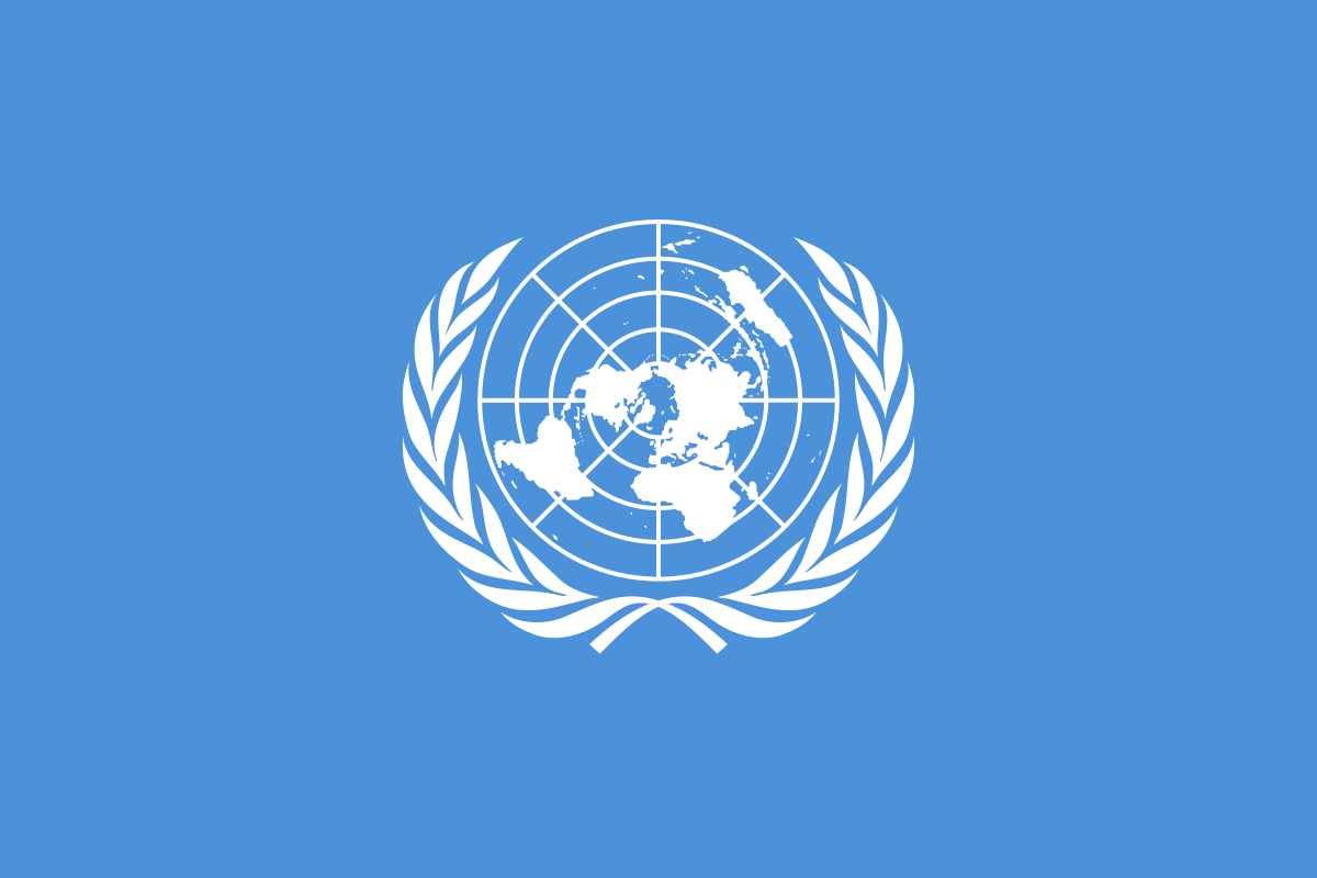 Право на інформацію та свобода медіа опинилися під загрозою у програмному документі ООН
