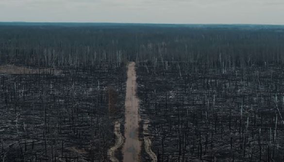 Подивіться, як виглядає Чорнобильська зона після пожеж (ВІДЕО)
