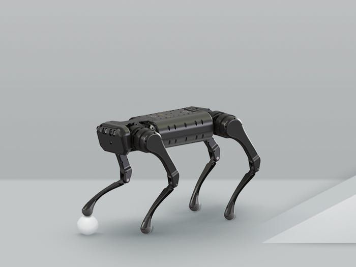 Новий робот-собака швидко бігає, крутить сальто та конфліктує з собі подібними (ВІДЕО)