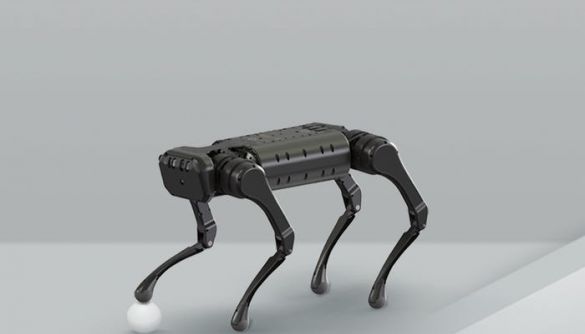 Новий робот-собака швидко бігає, крутить сальто та конфліктує з собі подібними (ВІДЕО)