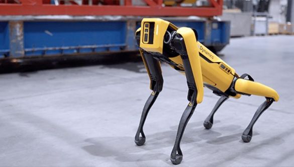 У США почали продавати роботів-собак Boston Dynamics
