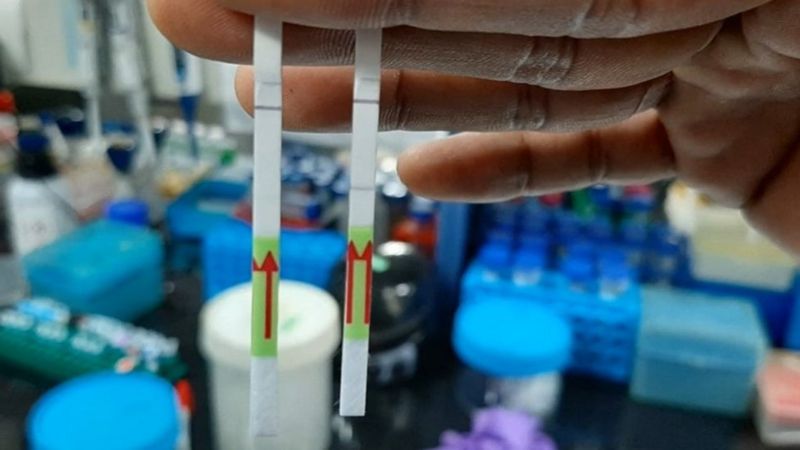 Індійські вчені розробили швидкий паперовий тест на коронавірус