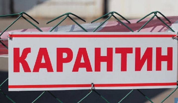 Радуцький пропонує запровадити в Україні карантин вихідного дня