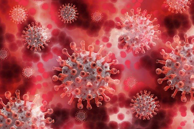 МОЗ планує витратити 1,5 млрд грн на закупівлю експрес-тестів для виявлення коронавірусу