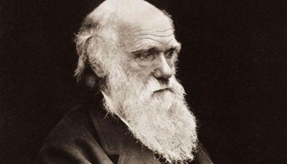 Кембриджський університет заявив про зникнення записних книжок Чарльза Дарвіна
