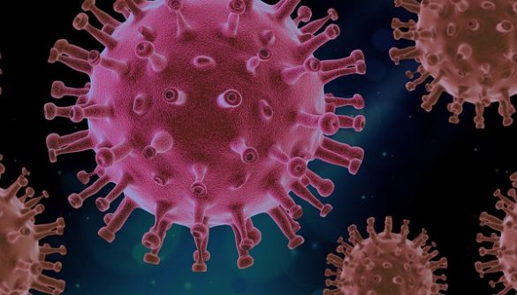 ВООЗ поки не вдалось потрапити до Китаю для вивчення походження коронавірусу
