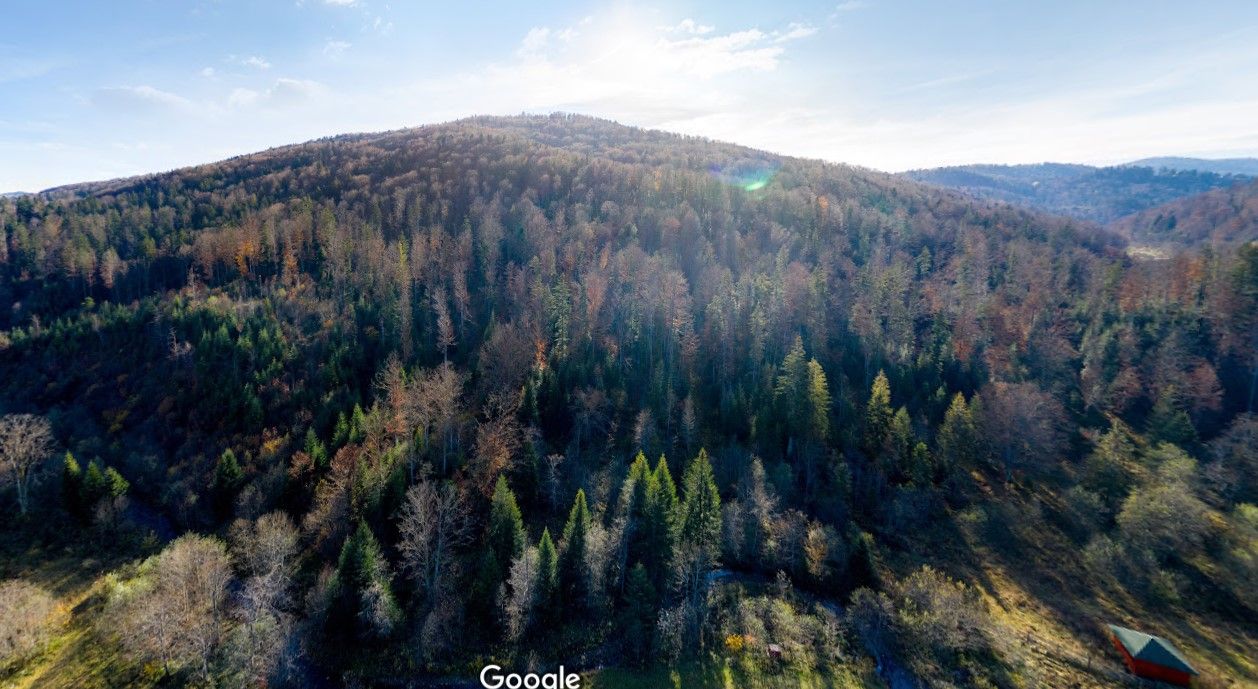 Google разом з Міндовкілля оцифрували 10 національних парків України