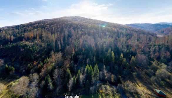Google разом з Міндовкілля оцифрували 10 національних парків України