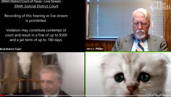 Адвокат виступив на судовому засіданні у вигляді кота – не зміг відключити фільтр в Zoom