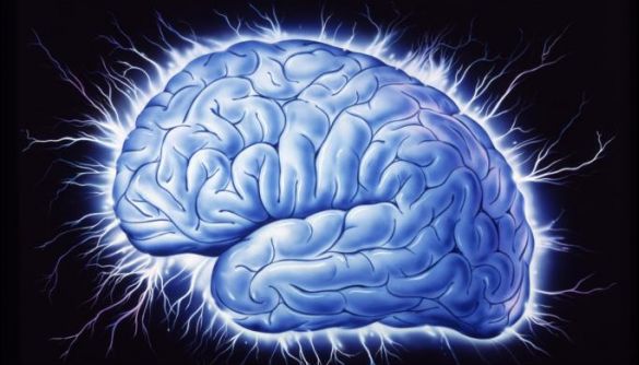Вчені створили нейтробота, який постачатиме ліки прямо у мозок