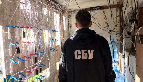 СБУ: В Одесі викрили ботоферму та інтернет-агітаторів, які хотіли дестабілізувати ситуацію під час травневих свят