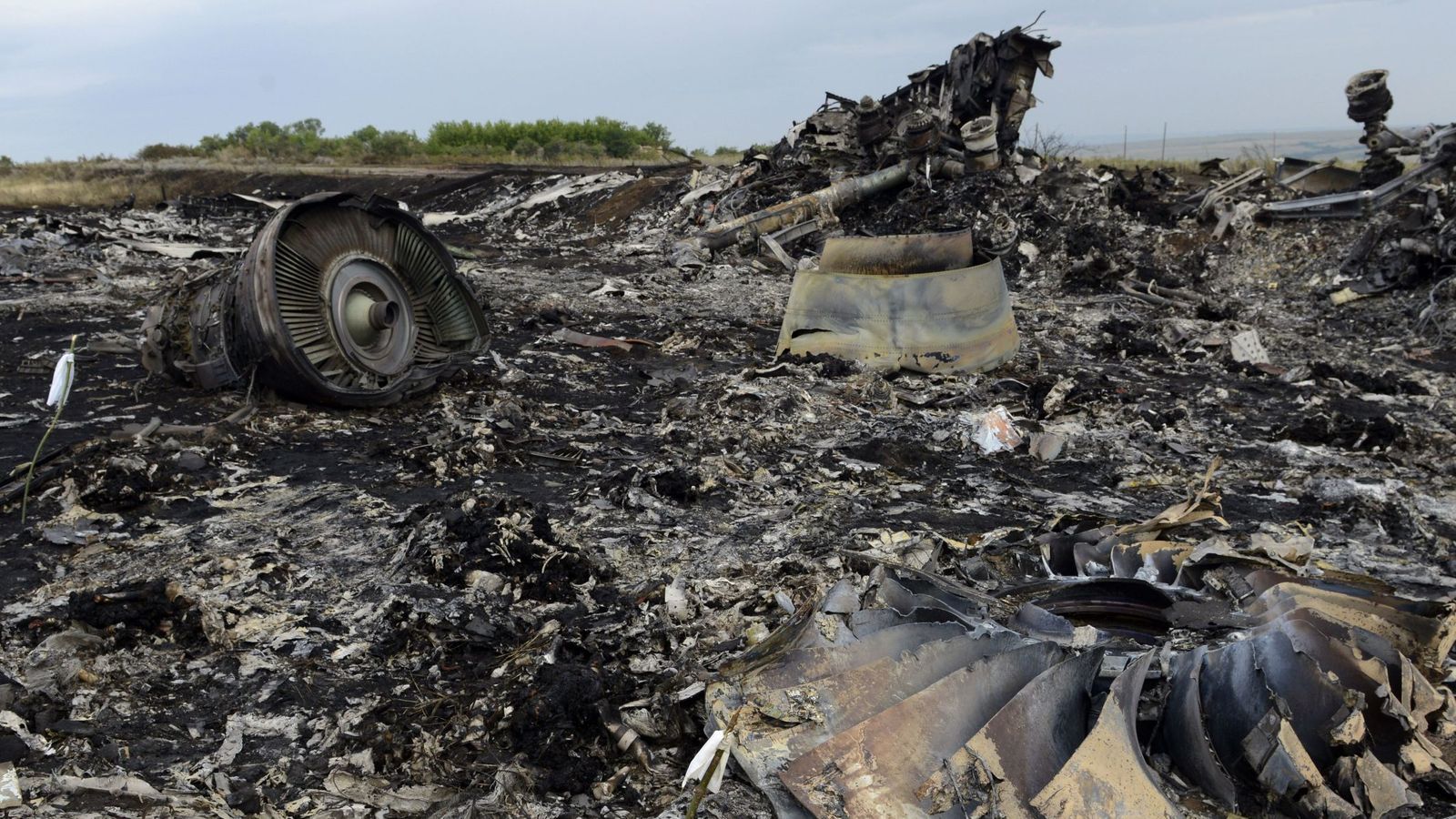 ЗМІ: Російські хакери втручались у поліцейську систему Нідерландів під час розслідування збиття MH17
