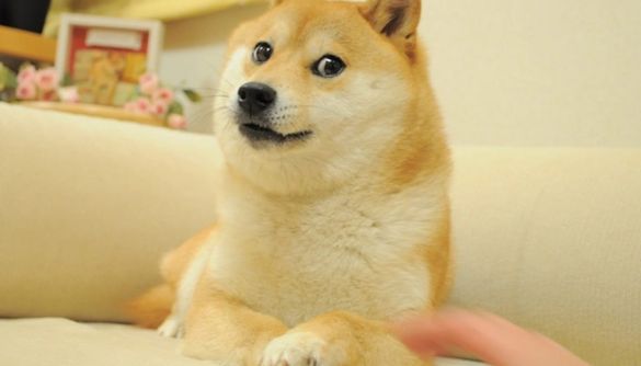 Знаменитий мем Doge продали як NFT за рекордні $4 млн