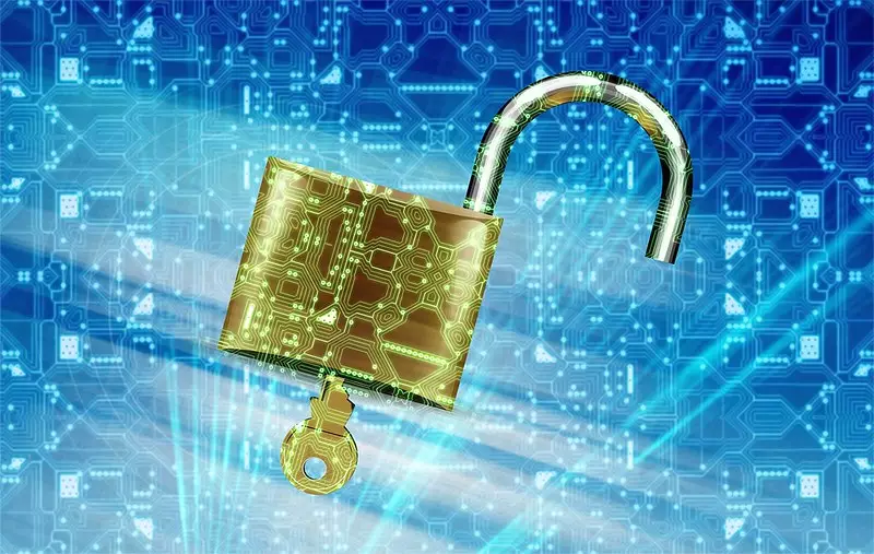 Програма Redline краде з браузерів збережені паролі та дані банківських карток — дослідники