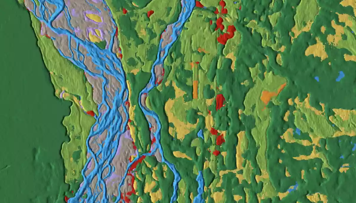 Google створив інструмент, який показує зміни на поверхні Землі в режимі реального часу