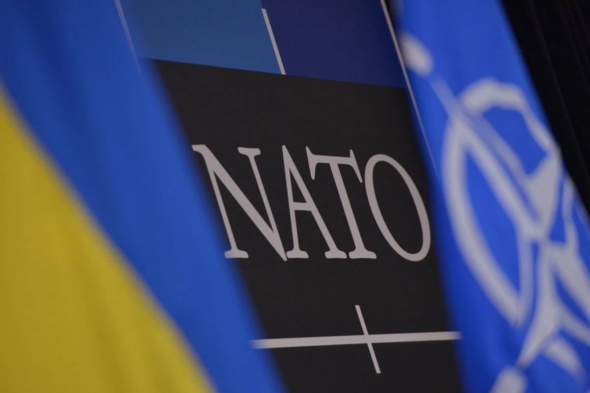 НАТО посилить кіберзахист України