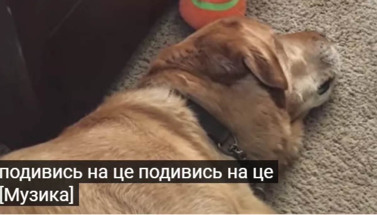 У YouTube з'явилися автоматичні українські субтитри
