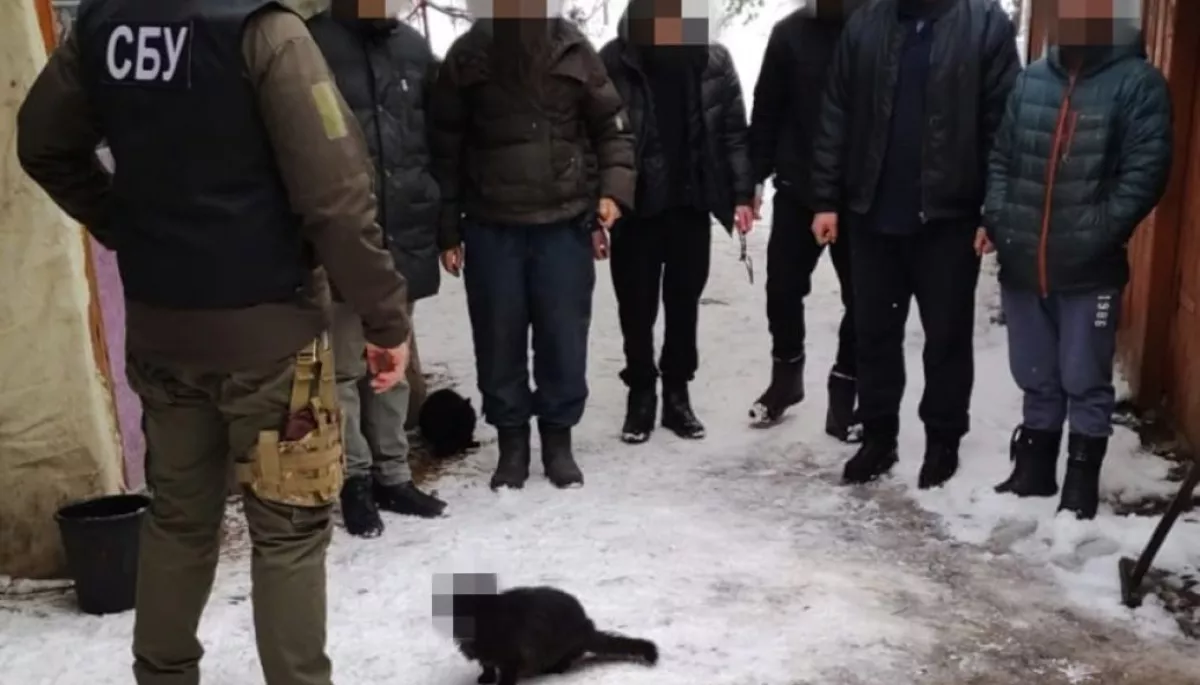 СБУ приховала морду кота на фото з обшуків у монастирях УПЦ МП