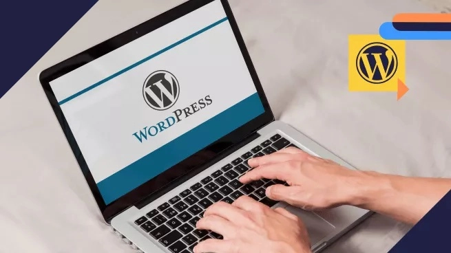 WordPress представила можливість зареєструвати домен на сто років