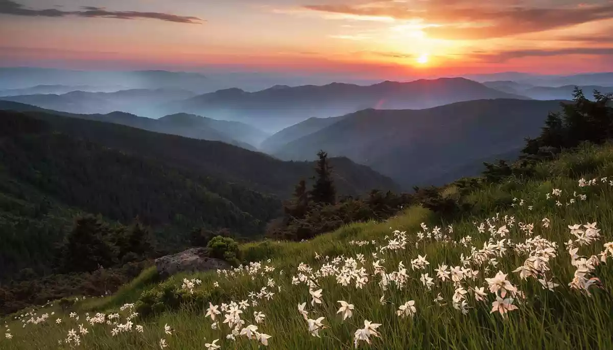 «Вікімедіа Україна» представила найкращі світлини української природи 2023 року