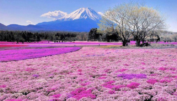 В Google оцифрували гору Фудзі для віртуальних прогулянок