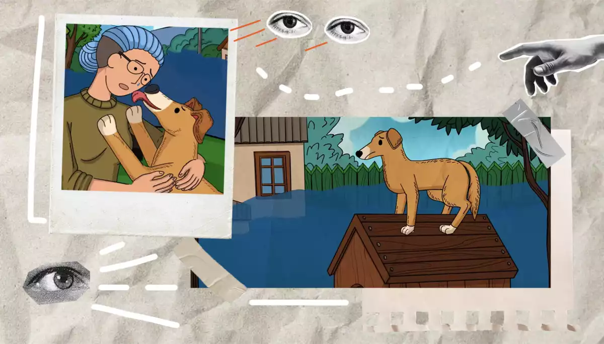 Медіа позитивних новин «ШоТам» створило серію анімаційних відероликів про тварин, яких спіткала непроста доля