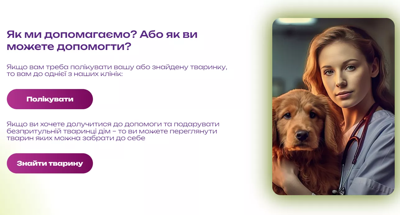 Сайт київської ветлікарні тепер допомагає шукати тварин та хазяїв для них