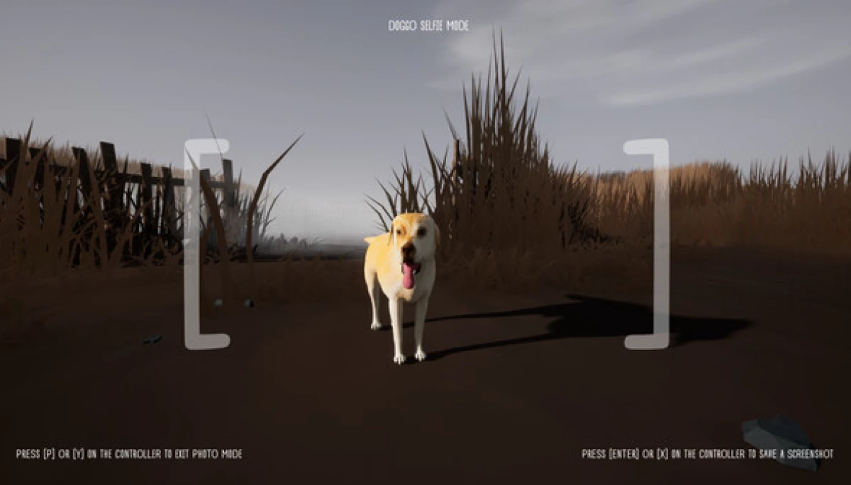 На Steam виклали українську гру про пса, який рятує людину