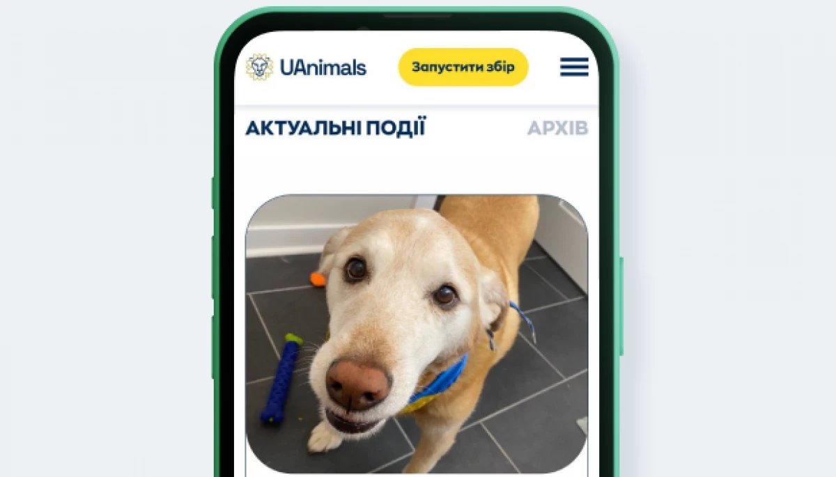 Команда UAnimals запустила платформу, де можна відкрити збір з нагоди дня народження чи іншого свята