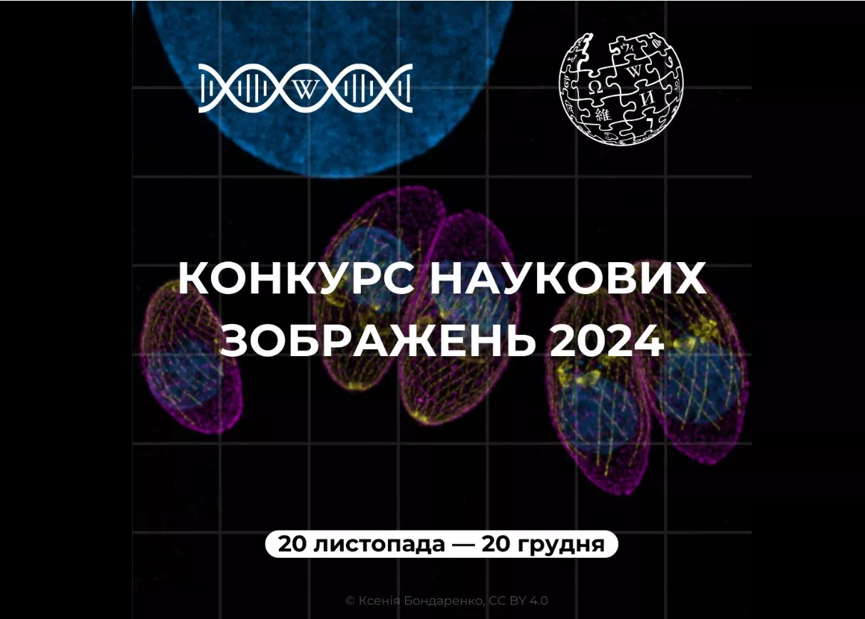 У Вікіпедії проведуть конкурс наукових зображень