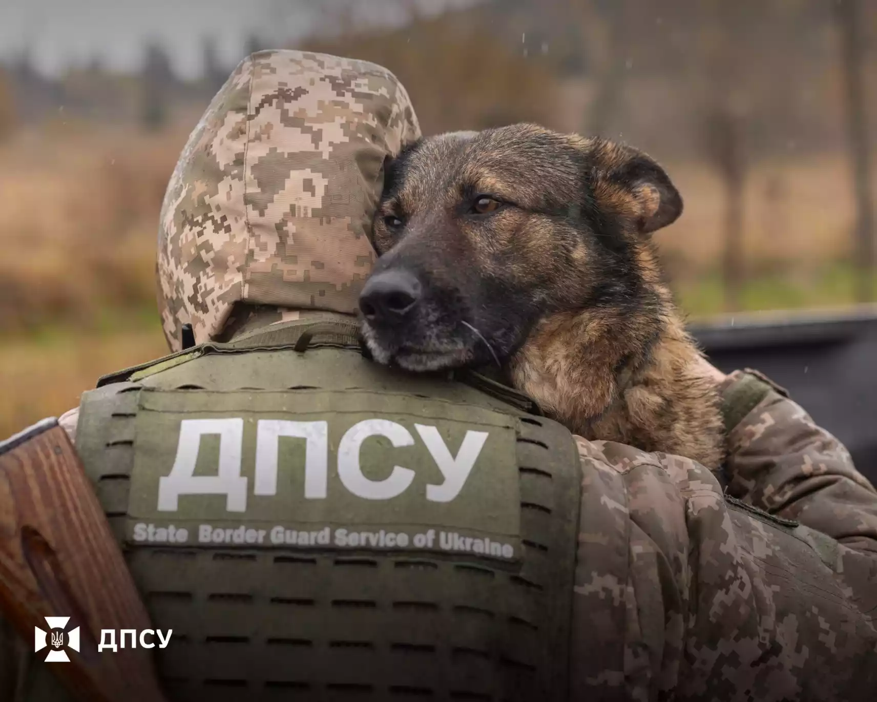 Україна припинила пропускати людей через кордон через збій у базі даних