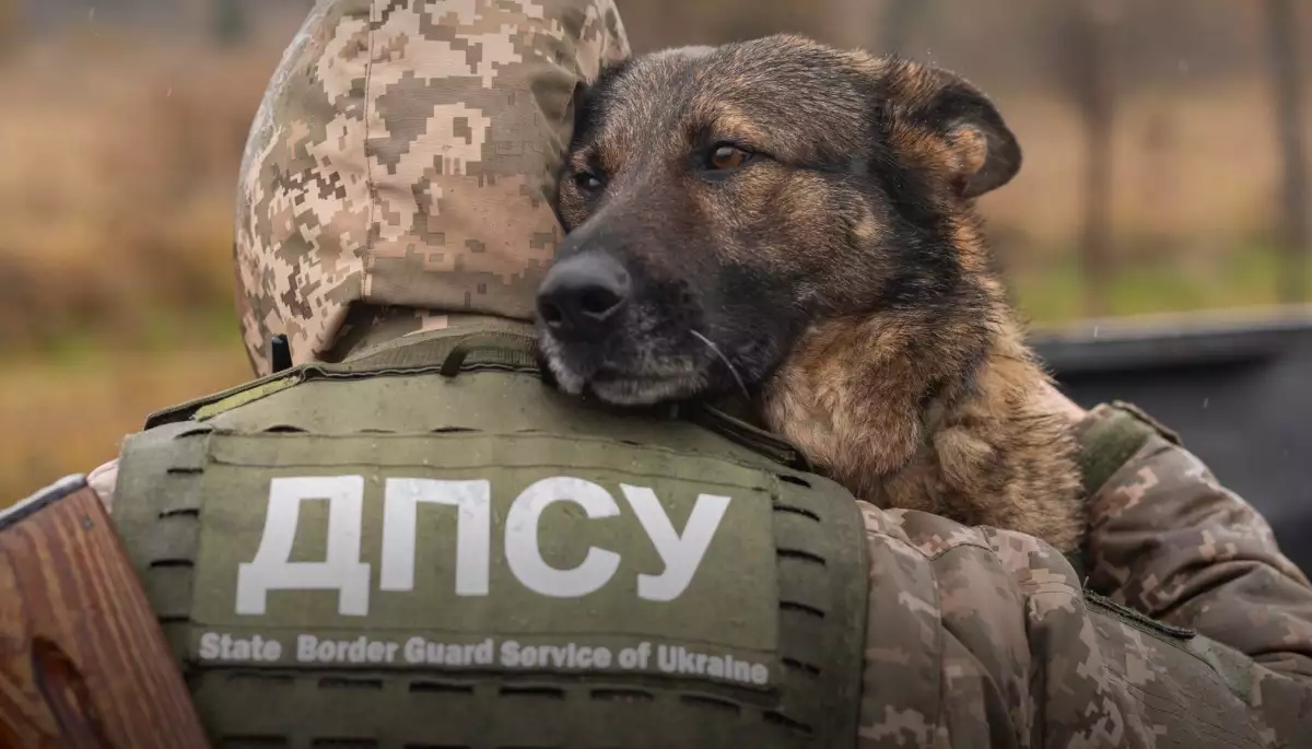 Україна припинила пропускати людей через кордон через збій у базі даних