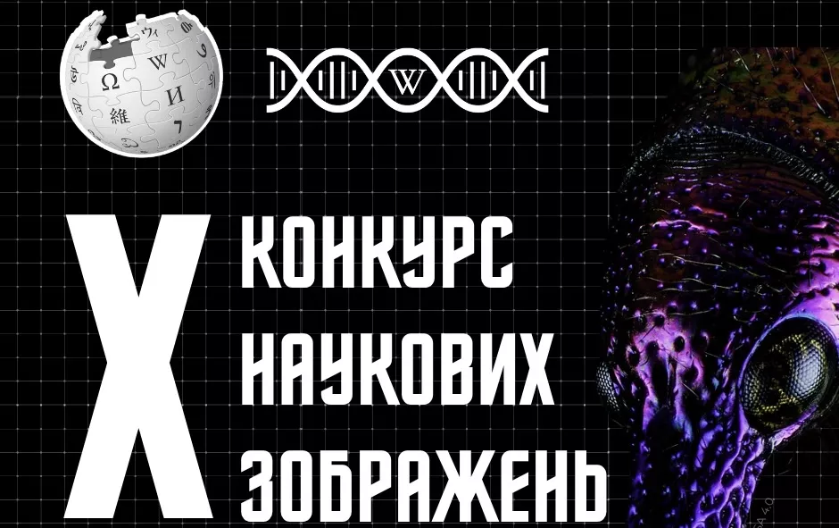 У Вікіпедії стартував десятий Конкурс наукових зображень
