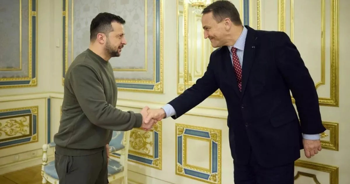 Сікорський посварився з Маском через штраф ЄС щодо мережі Х