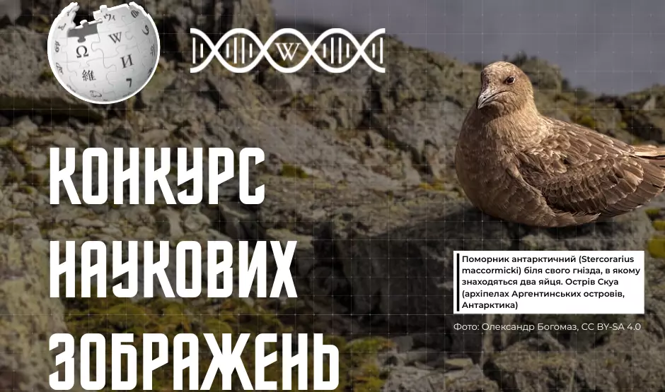 Оголосили переможців Конкурсу наукових зображень 2025